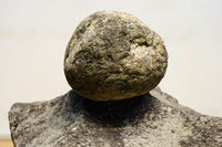 Antique Tools DC8540