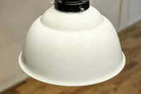 栗の絵柄が内側に描かれたノリタケの電笠　DC8570