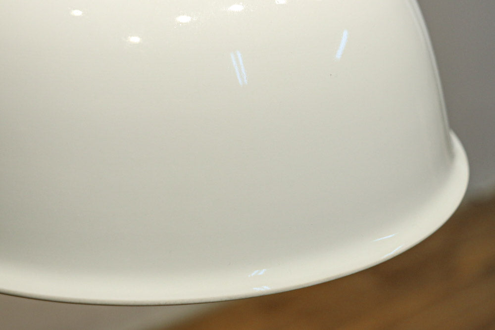 栗の絵柄が内側に描かれたノリタケの電笠　DC8570