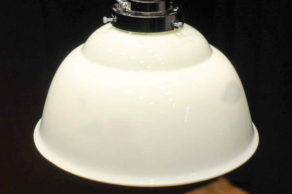 栗の絵柄が内側に描かれたノリタケの電笠　DC8570