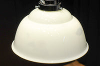 栗の絵柄が内側に描かれたノリタケの電笠　DC8570