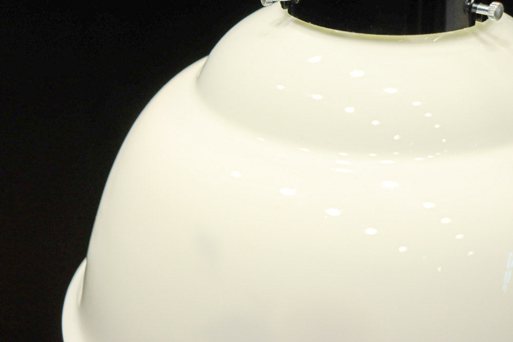 栗の絵柄が内側に描かれたノリタケの電笠　DC8570