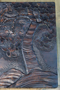 Antique tools DC8641