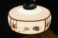 紅葉のセル装飾が可愛らしい電笠　DC8709