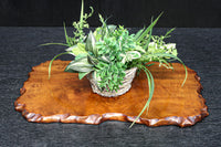 Antique tools DC8751