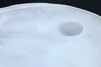 淡く色づく御本の模様が浮かぶ粉引大皿(共箱付き)　DC8778