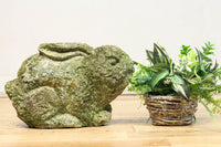 Antique tools DC8788