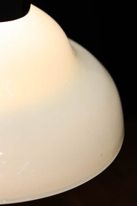 ふんわりと丸みを帯びた愛嬌のある電笠　DC8900