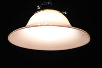 ピンクの縁取りで華やかな面持ちの電笠　DC8902