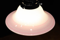 ピンクの縁取りで華やかな面持ちの電笠　DC8902