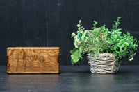 Antique Tools DC8919