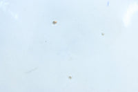 深みのある藍色の染付で山水図を描いた古伊万里焼の大皿　DC8930