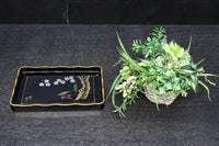 Antique tool (Kaku-bon) DC8952