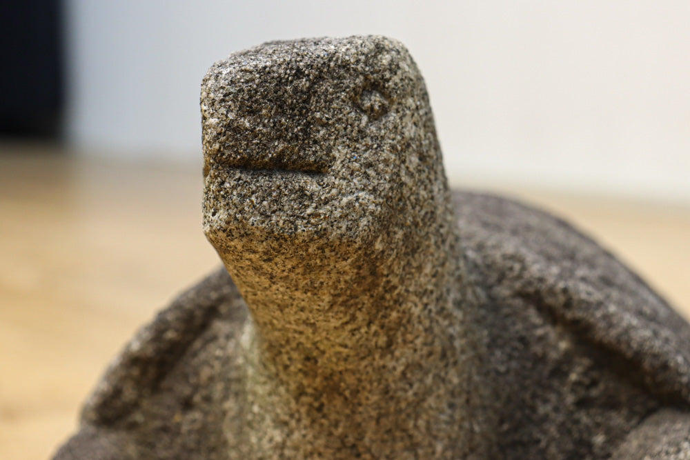 素朴な雰囲気のカメの石像　DC8975