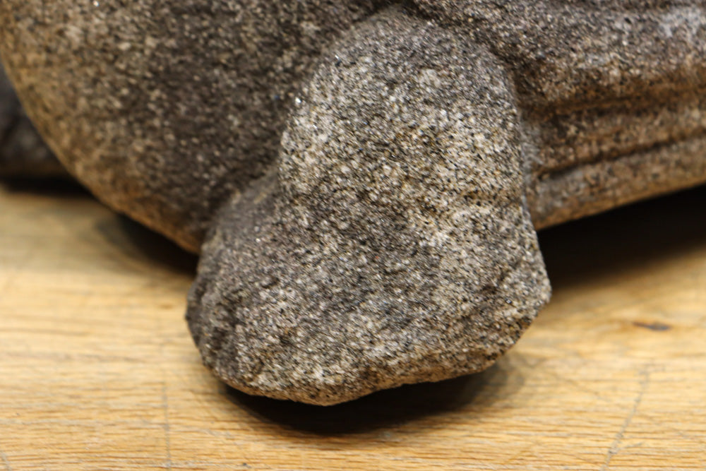 素朴な雰囲気のカメの石像　DC8975