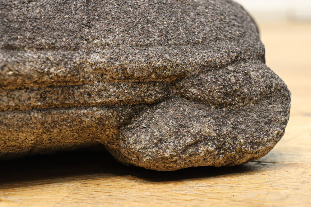 素朴な雰囲気のカメの石像　DC8975