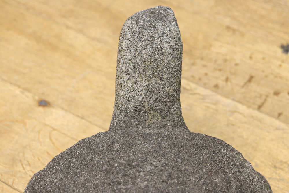 素朴な雰囲気のカメの石像　DC8975