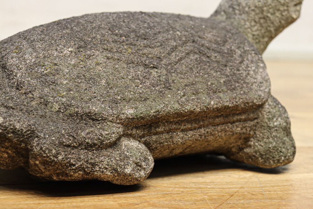 素朴な雰囲気のカメの石像　DC8975