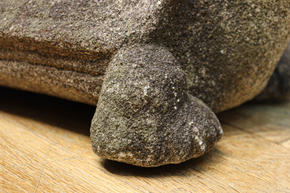 素朴な雰囲気のカメの石像　DC8975