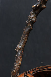 Antique Tools DC8993
