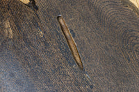 Antique Tools　DC9202
