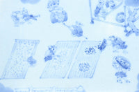 風景や植物の模様で味わいのある古伊万里の染付角皿　DC9268a-k　在庫(a:1 b:1商談中 c:0 d:1商談中 e:1商談中 f:1商談中 g:0 h:1 i:0 j:1 k:0)脚
