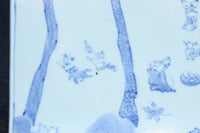 風景や植物の模様で味わいのある古伊万里の染付角皿　DC9268a-k　在庫(a:1 b:1商談中 c:0 d:1商談中 e:1商談中 f:1商談中 g:0 h:1 i:0 j:1 k:0)脚