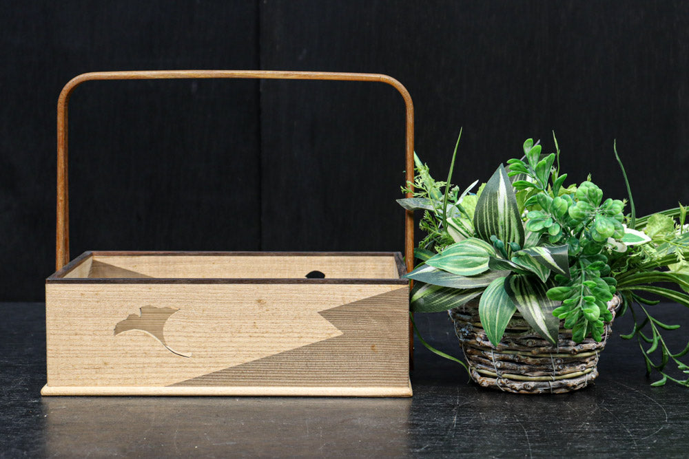Small wooden carrying box DC9633