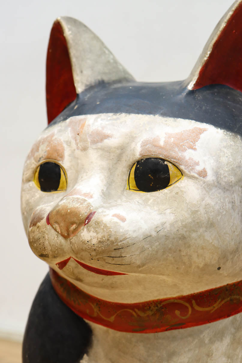 Maneki-neko DC9691  