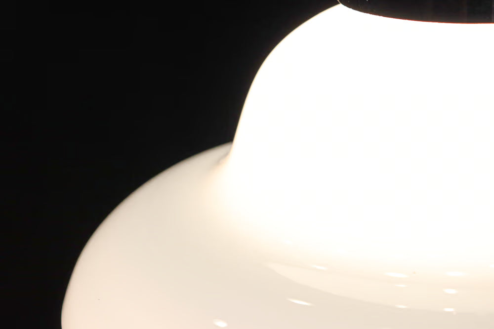麦わら帽子を思わせる風情溢れる電笠　DC9746