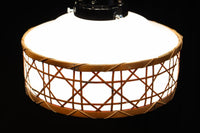 Lamp Shades DC9781