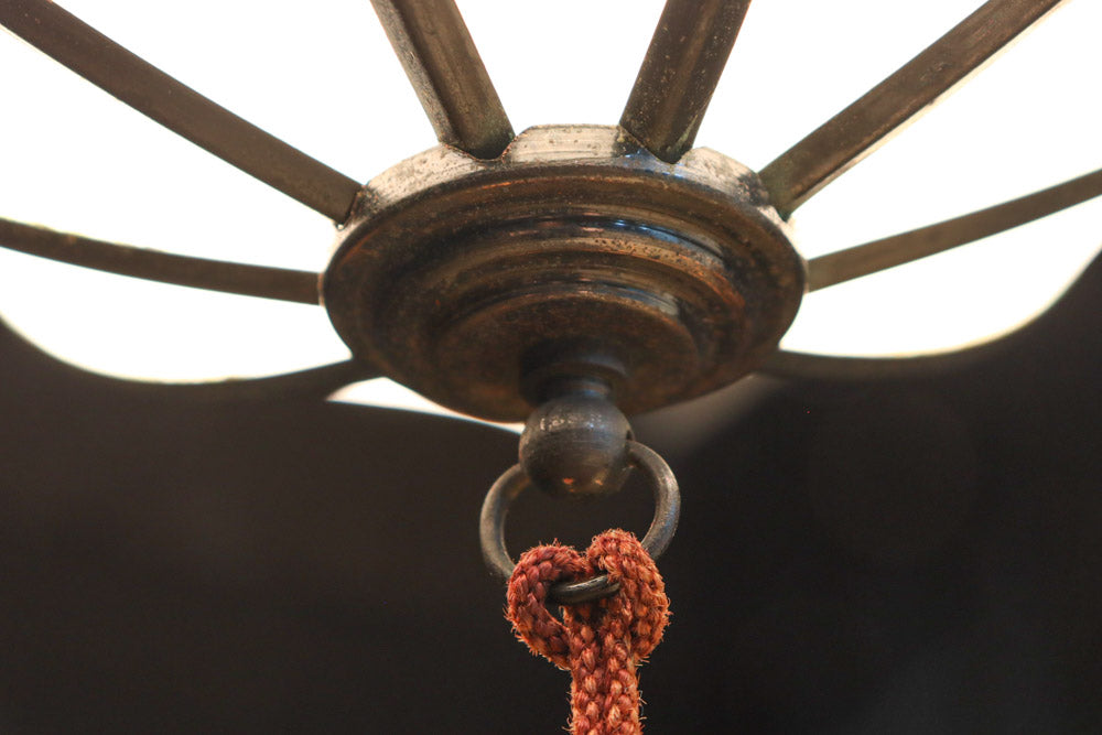 Lamp Shades DC9971