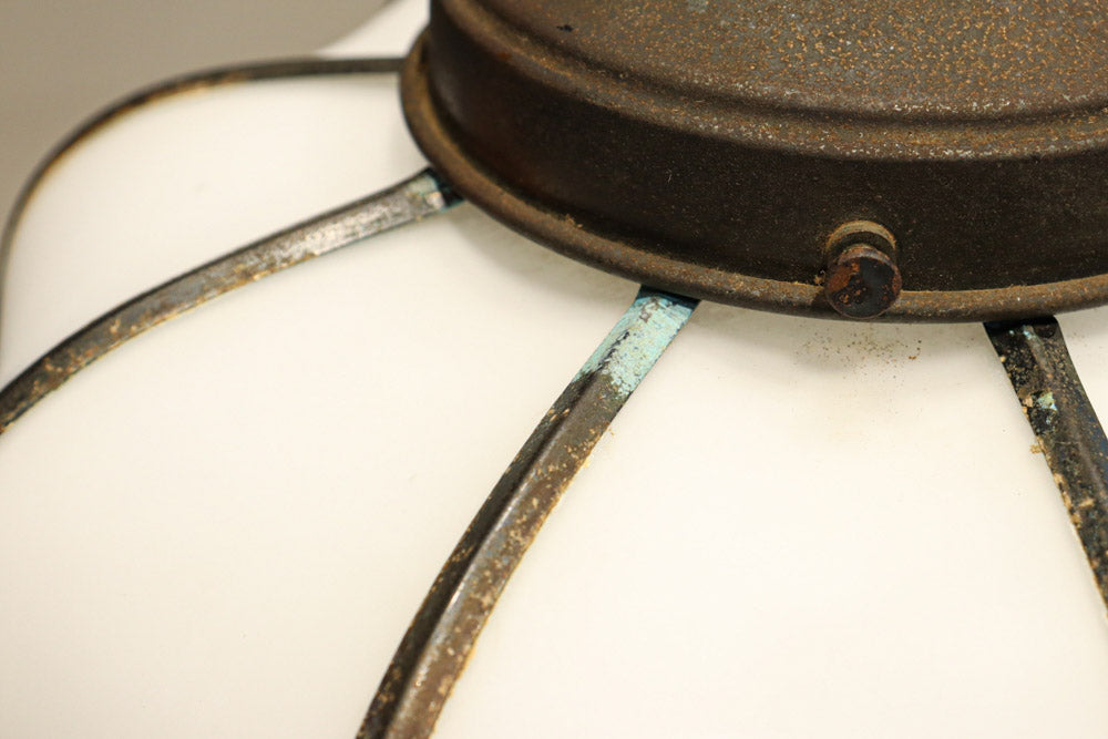 Lamp Shades DC9971