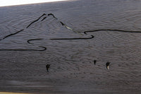 富士山のシルエットが浮かぶ透かし板　EZ1812　在庫1枚