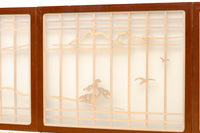 glass window EZ2143