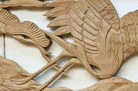 Ranma material EZ2548