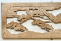 Ranma material EZ2548