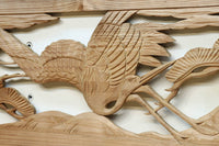 Ranma material EZ2548