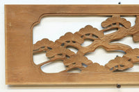 Ranma material EZ2549