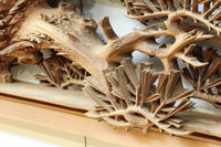 非公開　貫禄ある松の木を丁寧に彫り描いた深彫り彫刻欄間　EZ2565ab　在庫(a:1 b:1)枚