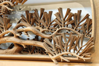 非公開　貫禄ある松の木を丁寧に彫り描いた深彫り彫刻欄間　EZ2565ab　在庫(a:1 b:1)枚