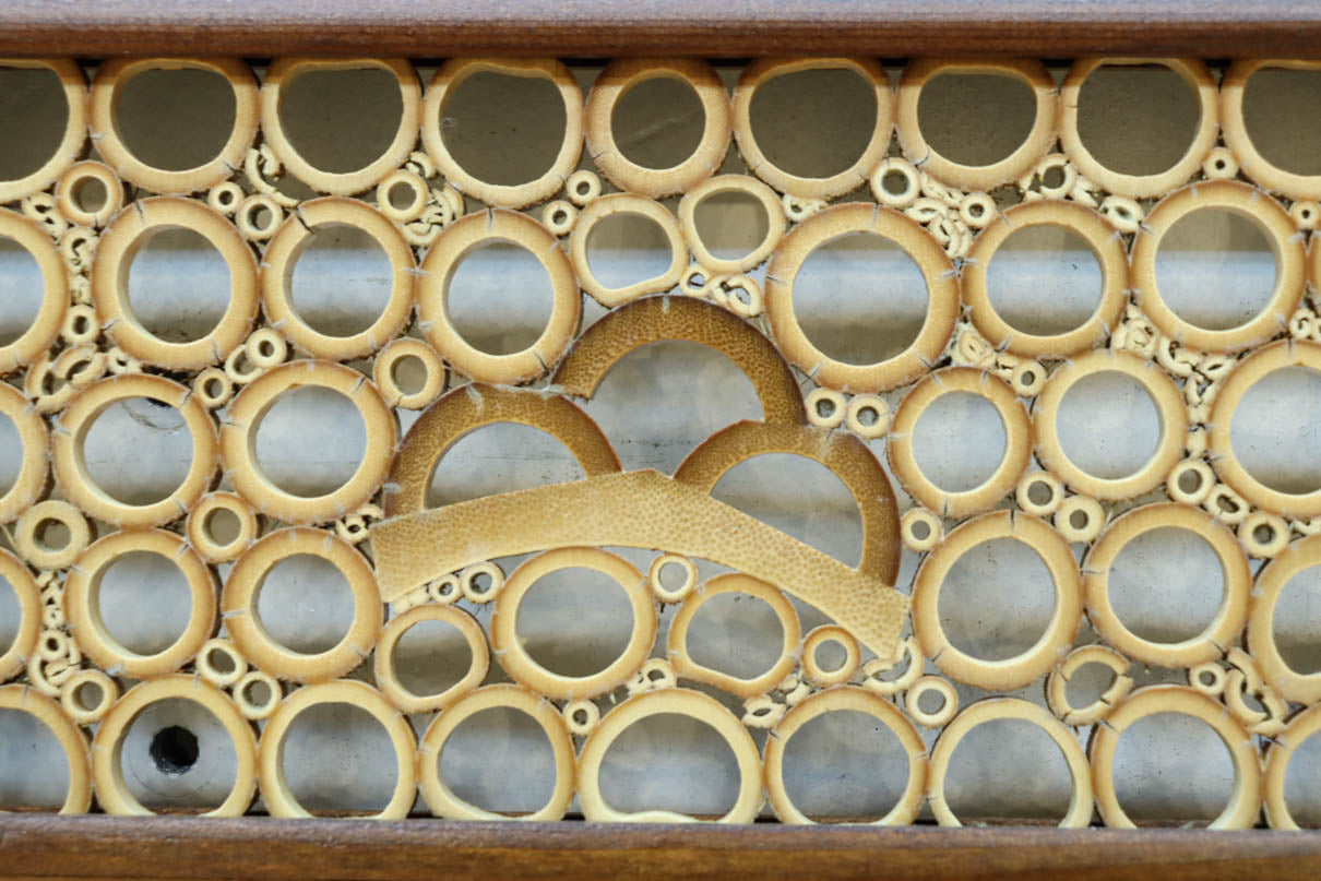 竹の輪で描く窓絵が可愛らしい欄間 EZ2566ab 在庫(a:1 b:1)枚