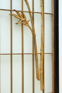 Ranma shoin set EZ2577