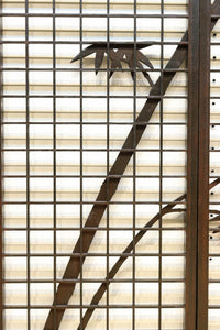 Ranma shoin set EZ2578