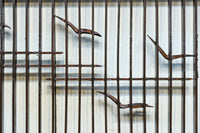 カモメが飛ぶ風情ある絵柄を描いた小型欄間　EZ2587　在庫1枚