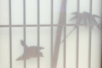 古色を帯びた風情溢れる竹雀の書院セット　EZ2612　在庫3枚一組