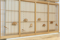 Ranma ＆ Shoin set EZ2714