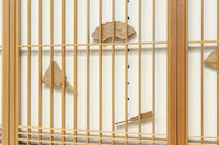 Ranma ＆ Shoin set EZ2714