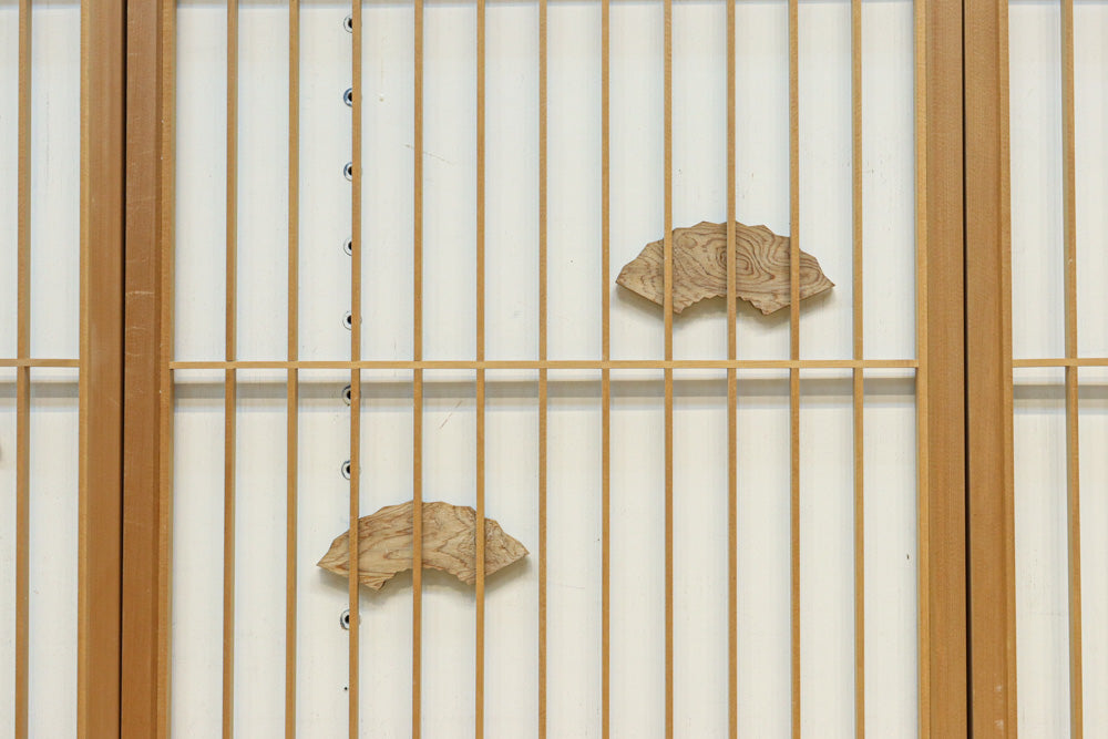 Ranma ＆ Shoin set EZ2714