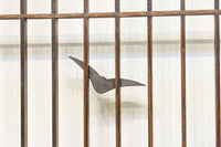 富士山を遠景に湖畔の清閑な風景を描いた書院セット　EZ2827　在庫4枚1組